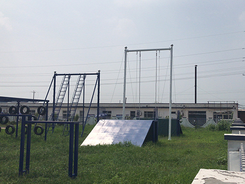 四川斜板荡绳